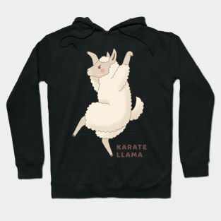 Cute Karate Llama Drawing Hoodie